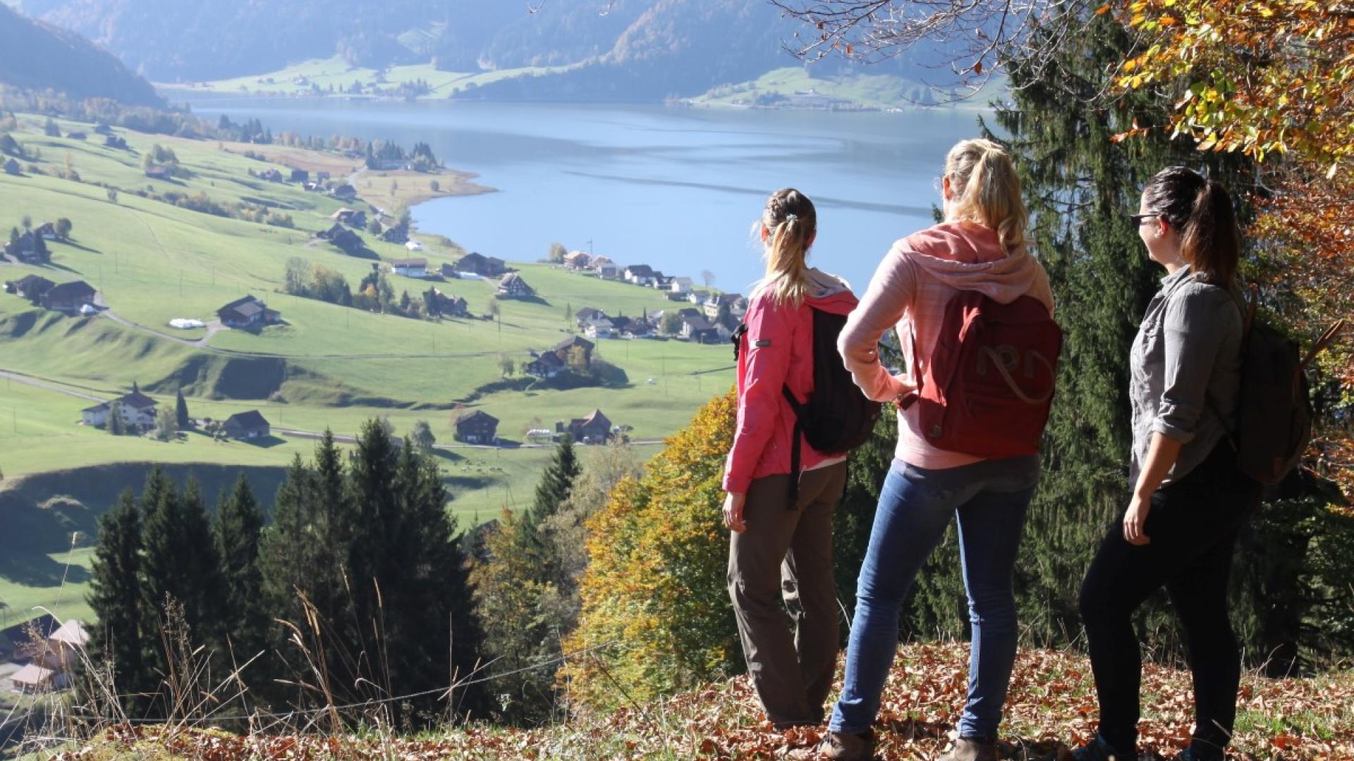 Herbststimmung mit Laub auf der Wiese mit Blick auf den Sihlsee