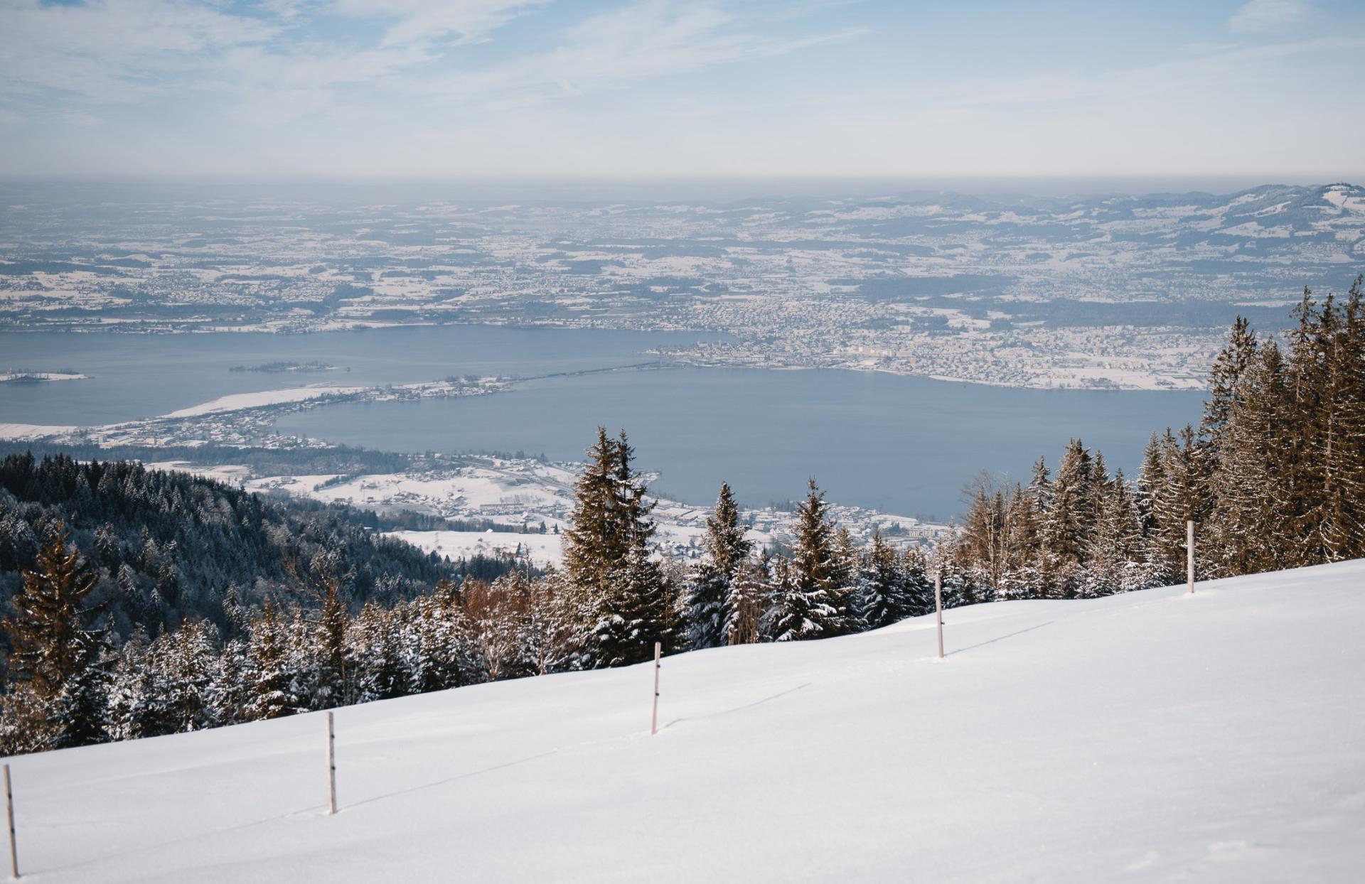 Ausblick auf die Region Zürichsee