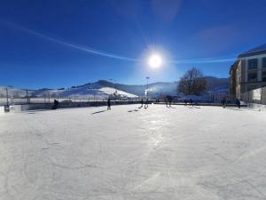 Eispark Brüel