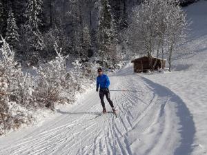 Loipe Alpthal