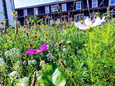 Blüten im Gras im Zeughausgarten